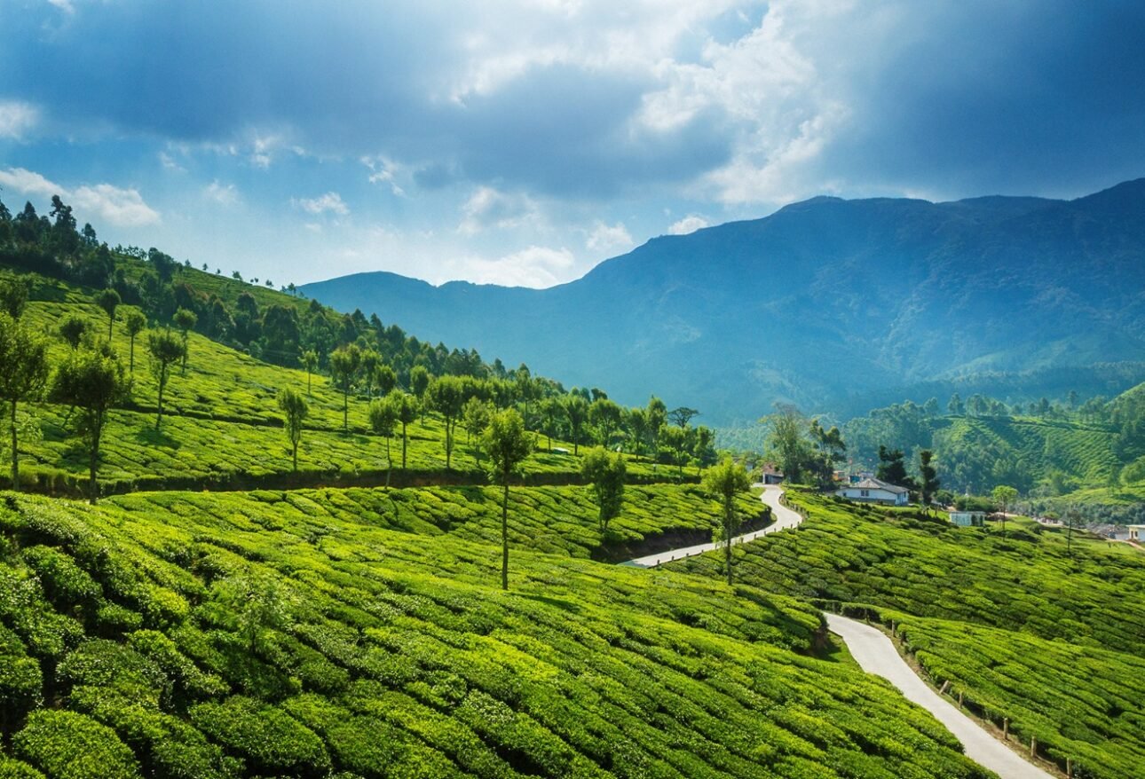 Best Kerala Tour Packages from USA