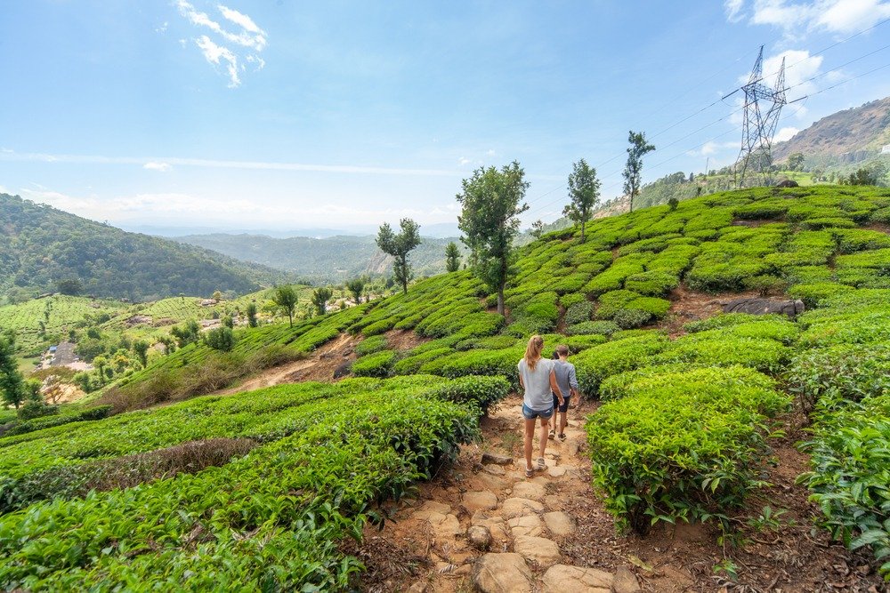 kerala packages for couple for Spanish Travellers