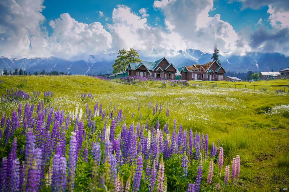 Discover Kashmir in summer with luxury escapes for US travelers. Enjoy cool weather, scenic valleys, and premium stays in 2026.