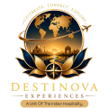 destinova yellow logo